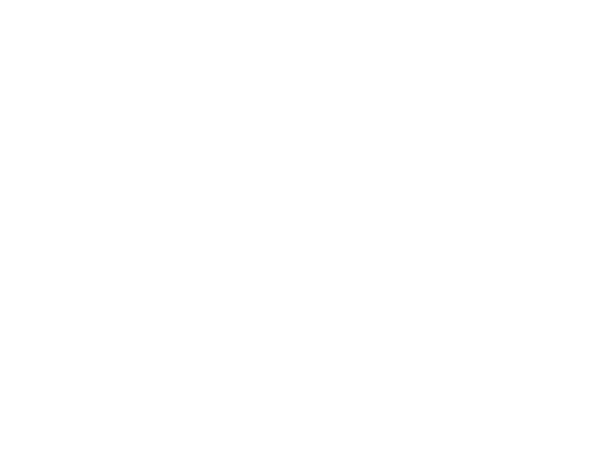 avn logo in white